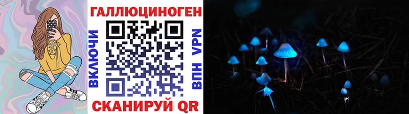 Псилоцибиновые грибы мухоморы  даркнет как зайти  Борзя  где купить наркоту 